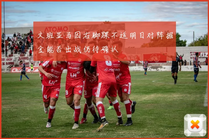 文班亚马因右脚踝不适明日对阵掘金能否出战仍待确认
