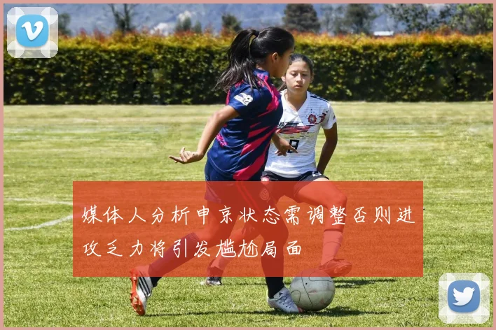媒体人分析申京状态需调整否则进攻乏力将引发尴尬局面